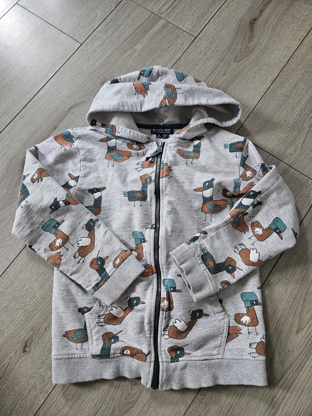 Souris Mini Boys Duck Bird Print Full Zip Hoodie Sweatshirt Size 8 🦆✨